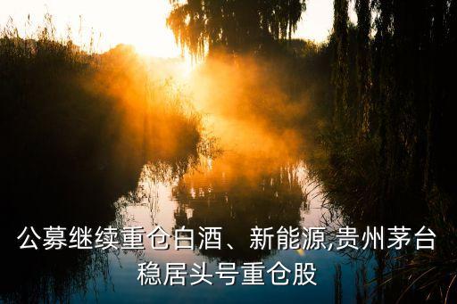 華泰柏瑞價(jià)值增長股票,460005華泰柏瑞價(jià)值增長混合