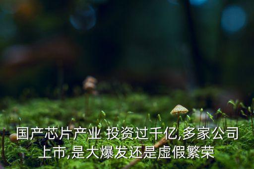 國產芯片產業(yè) 投資過千億,多家公司上市,是大爆發(fā)還是虛假繁榮