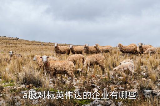a股對標(biāo)英偉達的企業(yè)有哪些
