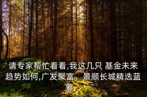 請專家?guī)兔纯?我這幾只 基金未來趨勢如何,廣發(fā)聚富、景順長城精選藍籌...