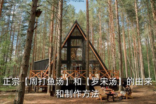 正宗【周打魚(yú)湯】和【羅宋湯】的由來(lái)和制作方法