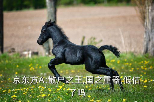 京東方A:散戶之王,國(guó)之重器,低估了嗎