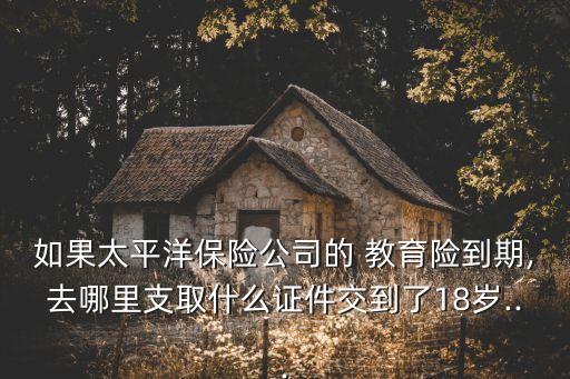 有誰領到了兒童教育基金險了