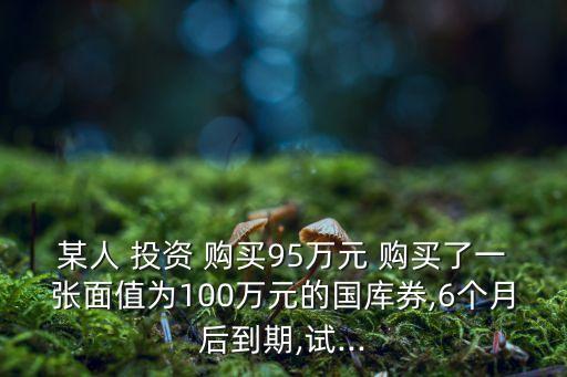 某人 投資 購買95萬元 購買了一張面值為100萬元的國庫券,6個月后到期,試...