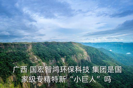 廣西國宏經(jīng)濟發(fā)展集團有限責(zé)任公司