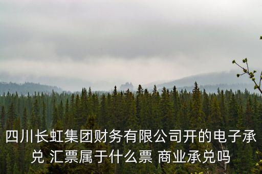 四川長虹集團(tuán)財務(wù)有限公司開的電子承兌 匯票屬于什么票 商業(yè)承兌嗎