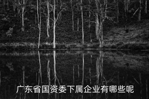  廣東省國資委下屬企業(yè)有哪些呢