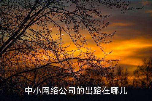 中小網絡公司的出路在哪兒