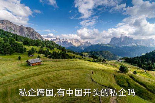 中國私企跨國,有中國開頭的私企嗎