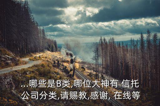 ...哪些是B類,哪位大神有 信托 公司分類,請(qǐng)賜教,感謝, 在線等