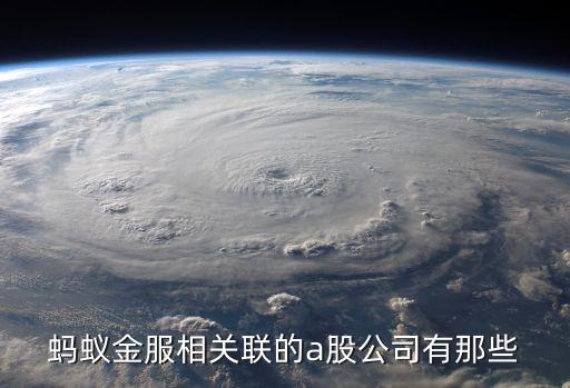 張江集團資產管理有限公司,武漢城市風貌資產管理(集團)有限公司
