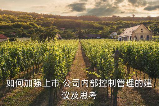 如何加強上市 公司內(nèi)部控制管理的建議及思考