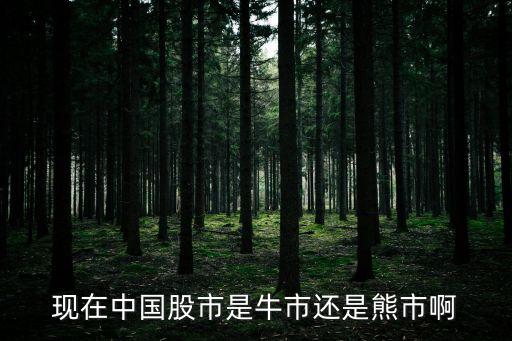 現在中國股市是牛市還是熊市啊
