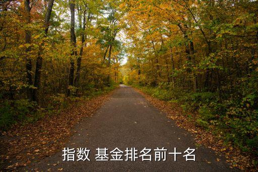 指數 基金排名前十名
