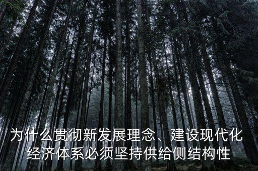為什么貫徹新發(fā)展理念、建設(shè)現(xiàn)代化 經(jīng)濟(jì)體系必須堅持供給側(cè)結(jié)構(gòu)性