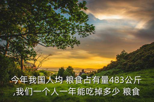 今年我國人均 糧食占有量483公斤,我們一個(gè)人一年能吃掉多少 糧食