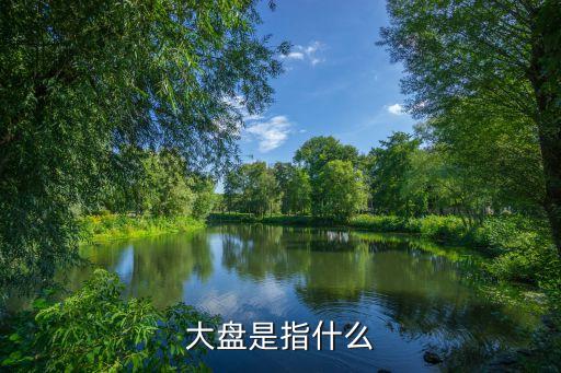 大盤(pán)是指什么