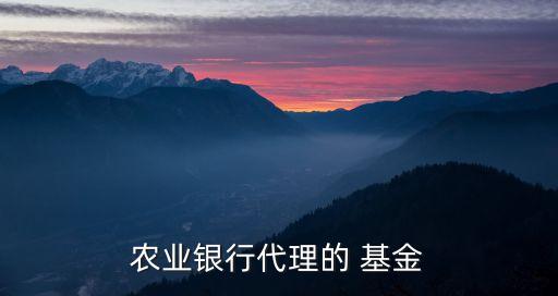 農業(yè)銀行代理的 基金