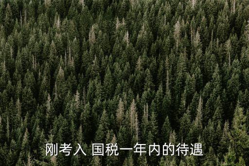 剛考入 國稅一年內(nèi)的待遇