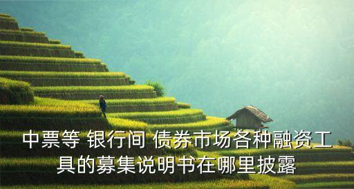 中票等 銀行間 債券市場各種融資工具的募集說明書在哪里披露
