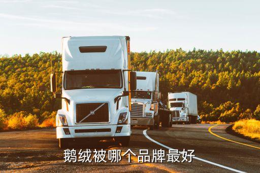杭州東合羽絨制品有限公司,杭州金弘三鳥(niǎo)羽絨制品有限公司