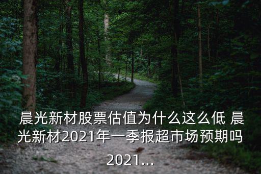 晨光文具集團(tuán)招股說(shuō)明書