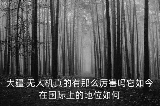 疆域無(wú)人機(jī)公司,大漢疆域無(wú)人機(jī)jy018