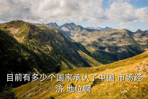 市場在中國的地位,承認中國市場地位