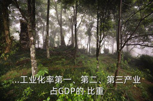...工業(yè)化率第一、第二、第三產(chǎn)業(yè)占GDP的 比重