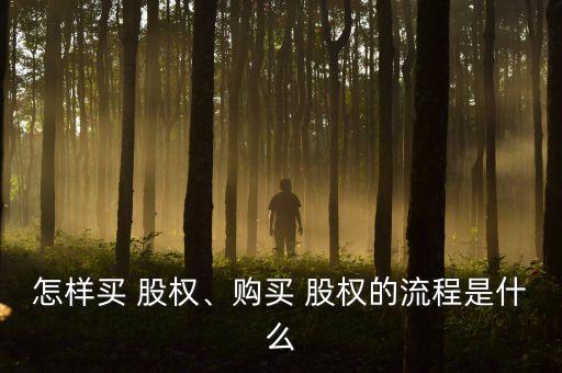 怎樣買 股權、購買 股權的流程是什么