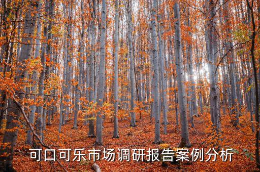  可口可樂市場調(diào)研報告案例分析