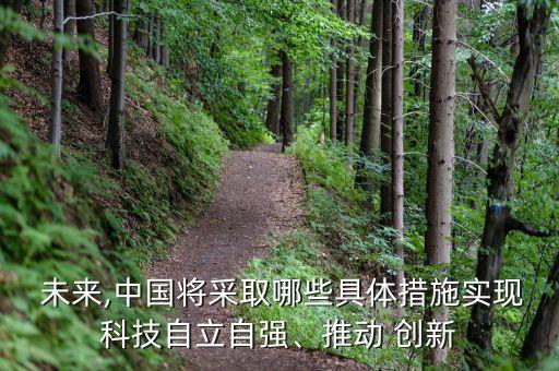  未來(lái),中國(guó)將采取哪些具體措施實(shí)現(xiàn)科技自立自強(qiáng)、推動(dòng) 創(chuàng)新