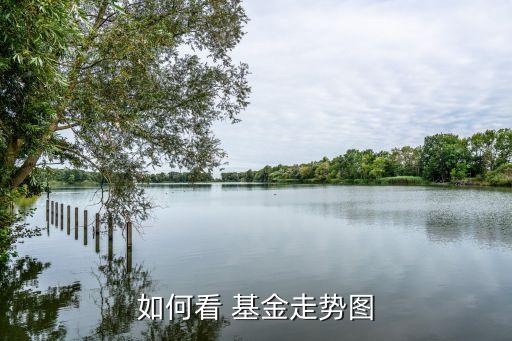 如何看 基金走勢(shì)圖