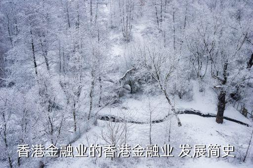 世界銀行發(fā)展歷史,歷史世界銀行和國際貨幣基金組織