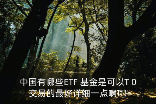 中國(guó)有哪些ETF 基金是可以T 0交易的最好詳細(xì)一點(diǎn)啊!!!