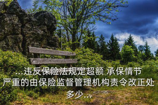 ...違反保險法規(guī)定超額 承保情節(jié)嚴重的由保險監(jiān)督管理機構(gòu)責(zé)令改正處多少...