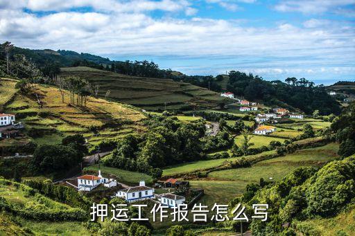  押運(yùn)工作報告怎么寫
