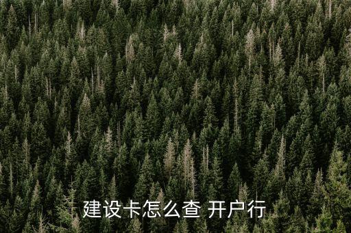 建設卡怎么查 開戶行
