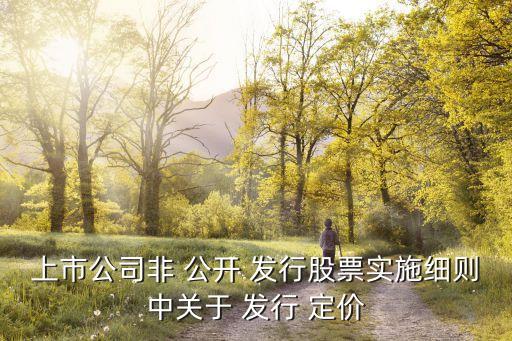 最新非公開發(fā)行股票的定價規(guī)則,非公開發(fā)行股票定價基準日是哪一天