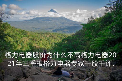 格力電器股價(jià)為什么不高格力電器2021年三季報(bào)格力電器專家千股千評...