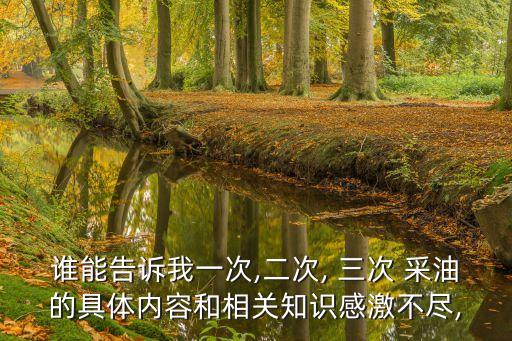 誰(shuí)能告訴我一次,二次, 三次 采油的具體內(nèi)容和相關(guān)知識(shí)感激不盡,