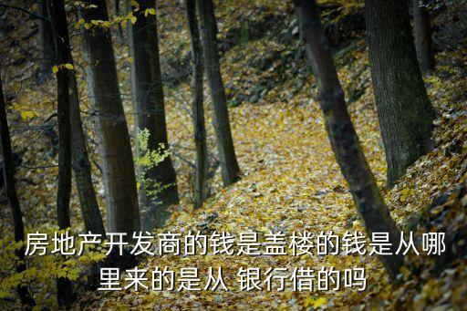  房地產(chǎn)開發(fā)商的錢是蓋樓的錢是從哪里來(lái)的是從 銀行借的嗎