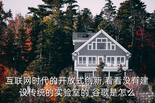 谷歌中國(guó)未來(lái)發(fā)展戰(zhàn)略,華為的未來(lái)發(fā)展戰(zhàn)略和方向