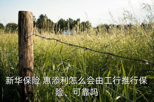 新華保險(xiǎn) 惠添利怎么會(huì)由工行推行保險(xiǎn)、可靠嗎