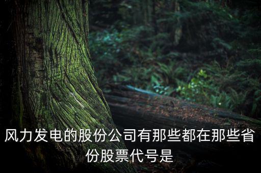 風力發(fā)電的股份公司有那些都在那些省份股票代號是