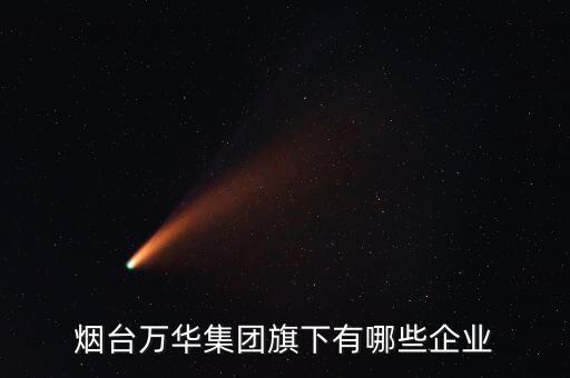 煙臺(tái)萬(wàn)華集團(tuán)旗下有哪些企業(yè)