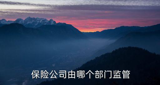  保險(xiǎn)公司由哪個(gè)部門(mén)監(jiān)管