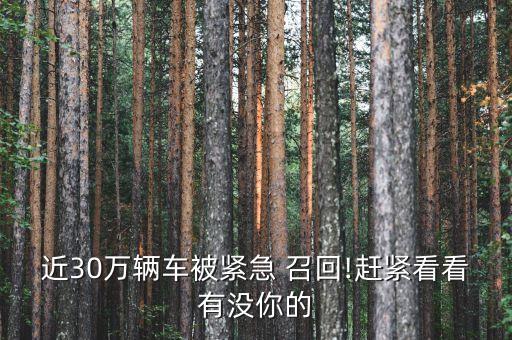 北京汽車(chē)召回