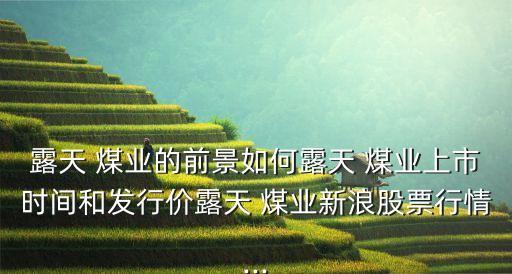 露天 煤業(yè)的前景如何露天 煤業(yè)上市時間和發(fā)行價露天 煤業(yè)新浪股票行情...