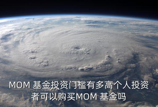 MOM 基金投資門(mén)檻有多高個(gè)人投資者可以購(gòu)買(mǎi)MOM 基金嗎
